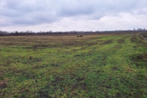 Аренда земли сельскохозяйственного назначения в Вашковцах, цена: 31 018 грн за объект фото 2