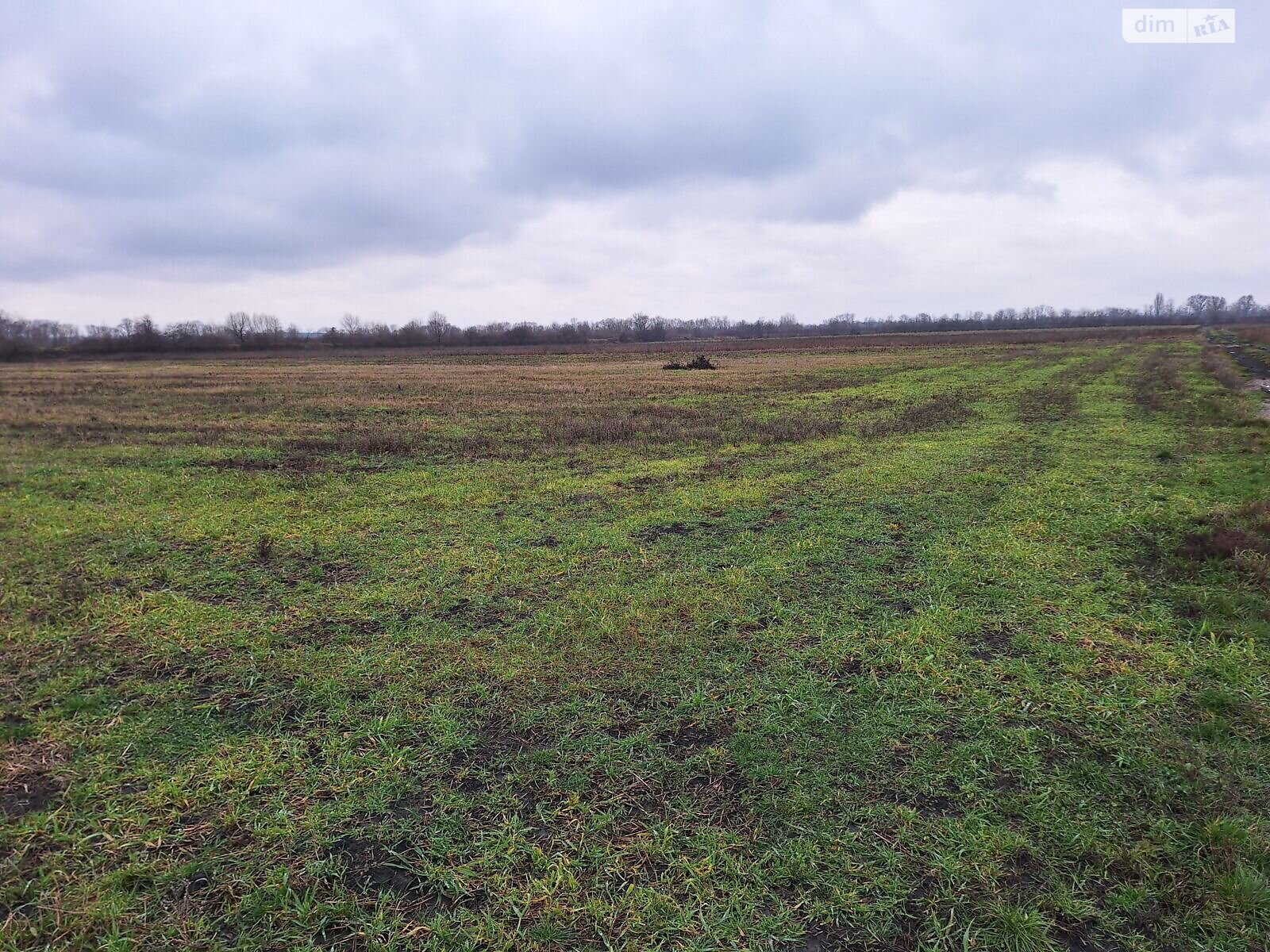Аренда земли сельскохозяйственного назначения в Вашковцах, цена: 31 018 грн за объект фото 1