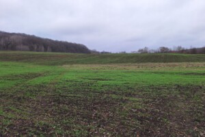 Аренда земли сельскохозяйственного назначения в Вашковцах, цена: 14 599 грн за объект фото 2