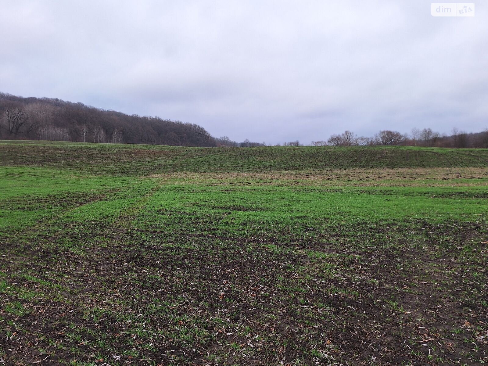 Аренда земли сельскохозяйственного назначения в Вашковцах, цена: 14 599 грн за объект фото 1