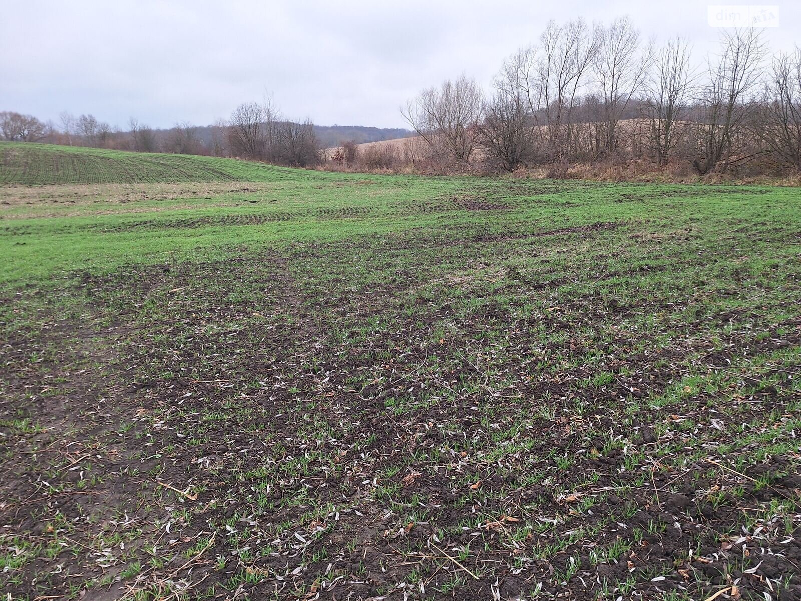 Аренда земли сельскохозяйственного назначения в Вашковцах, цена: 14 599 грн за объект фото 1