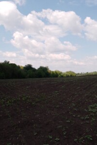 Аренда земли сельскохозяйственного назначения в Великой Павловке, цена: 13 266 грн за объект фото 1 Аренда земли сельскохозяйственного назначения в Великой Павловке, цена: 13 266 грн за объект фото 1