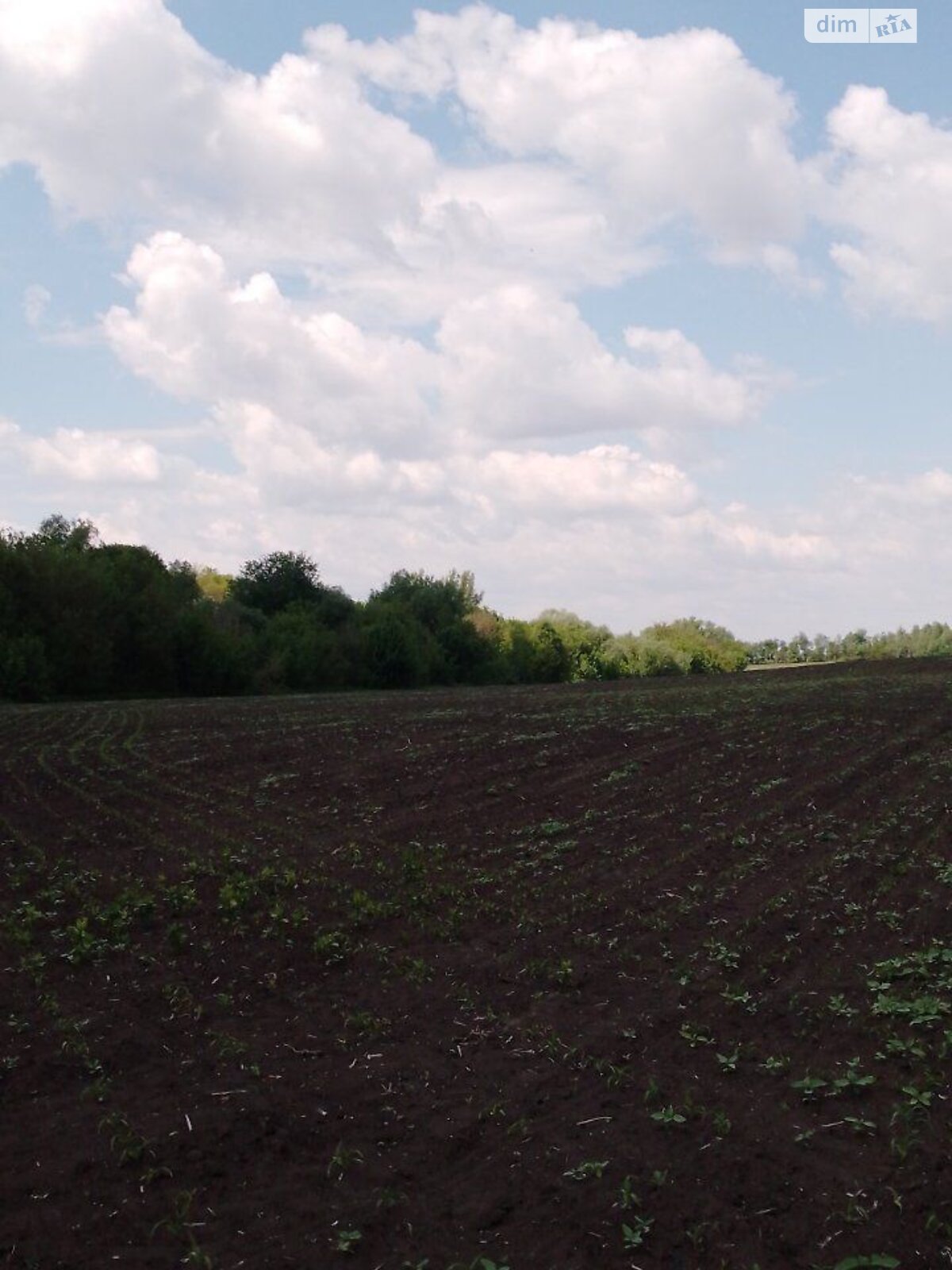 Аренда земли сельскохозяйственного назначения в Великой Павловке, цена: 13 266 грн за объект фото 1 Аренда земли сельскохозяйственного назначения в Великой Павловке, цена: 13 266 грн за объект фото 1