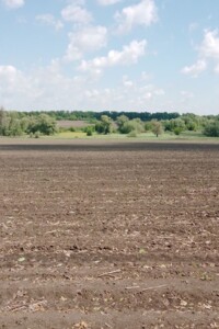 Аренда земли сельскохозяйственного назначения в Великой Павловке, цена: 16 597 грн за объект фото 1