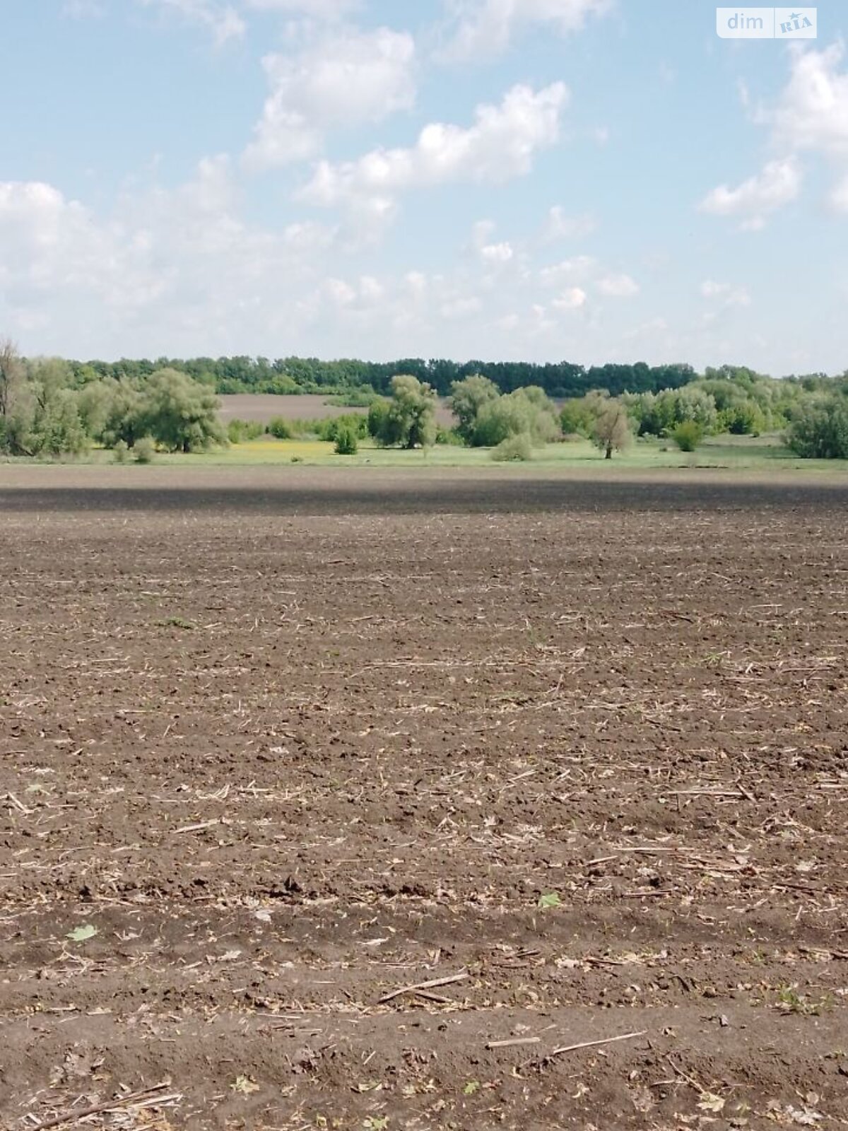 Аренда земли сельскохозяйственного назначения в Великой Павловке, цена: 16 597 грн за объект фото 1