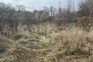 Аренда земли сельскохозяйственного назначения в Великих Прицки, цена: 1 023 грн за объект фото 1 Аренда земли сельскохозяйственного назначения в Великих Прицки, цена: 1 023 грн за объект фото 1