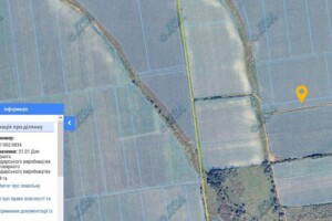 Оренда землі сільськогосподарського призначення в Великому Дальнику, ціна: 4 140 грн за об’єкт фото 1