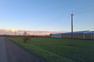 Оренда землі сільськогосподарського призначення в Велике Колодно, ціна: 2 429 грн за об’єкт фото 1