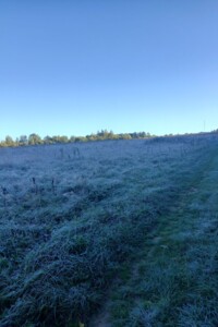 Оренда землі сільськогосподарського призначення в Верхньому Струтині, ціна: 25 977 грн за об’єкт фото 1