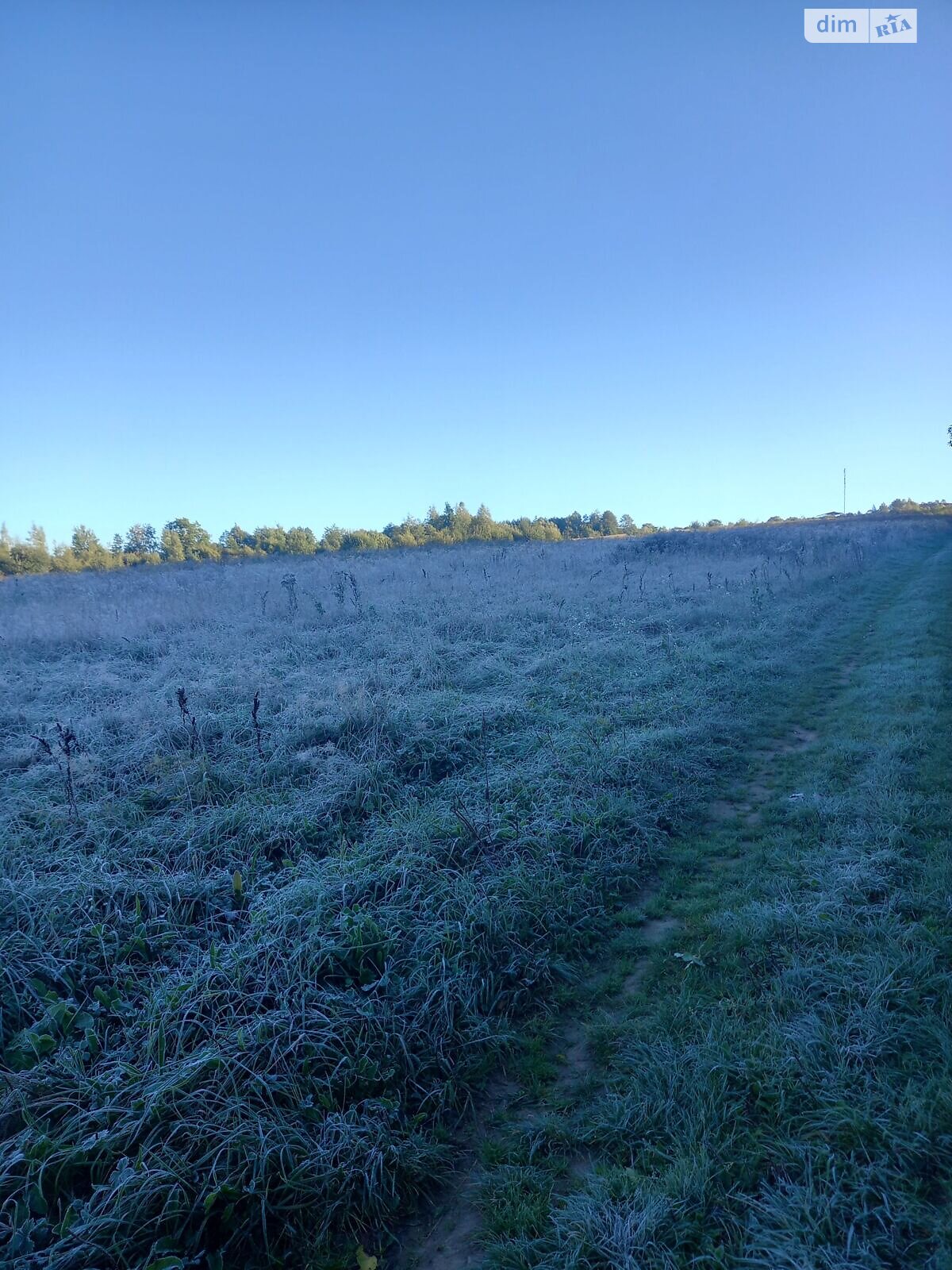 Оренда землі сільськогосподарського призначення в Верхньому Струтині, ціна: 25 977 грн за об’єкт фото 1