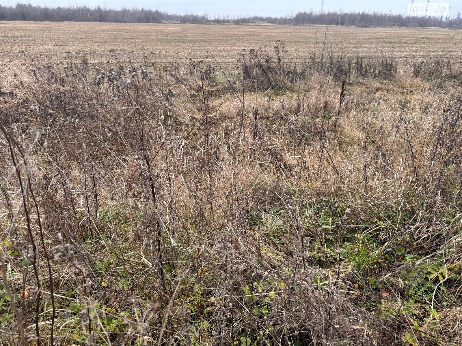 Аренда земли сельскохозяйственного назначения в Верхней, цена: 27 043 грн за объект фото 1