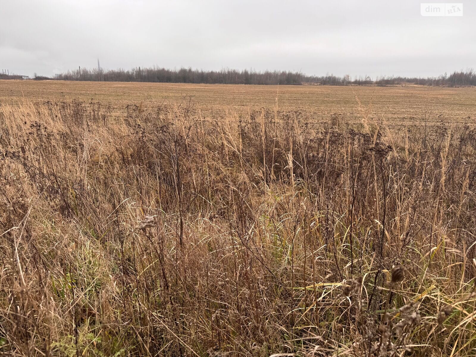 Аренда земли сельскохозяйственного назначения в Верхней, цена: 27 043 грн за объект фото 1