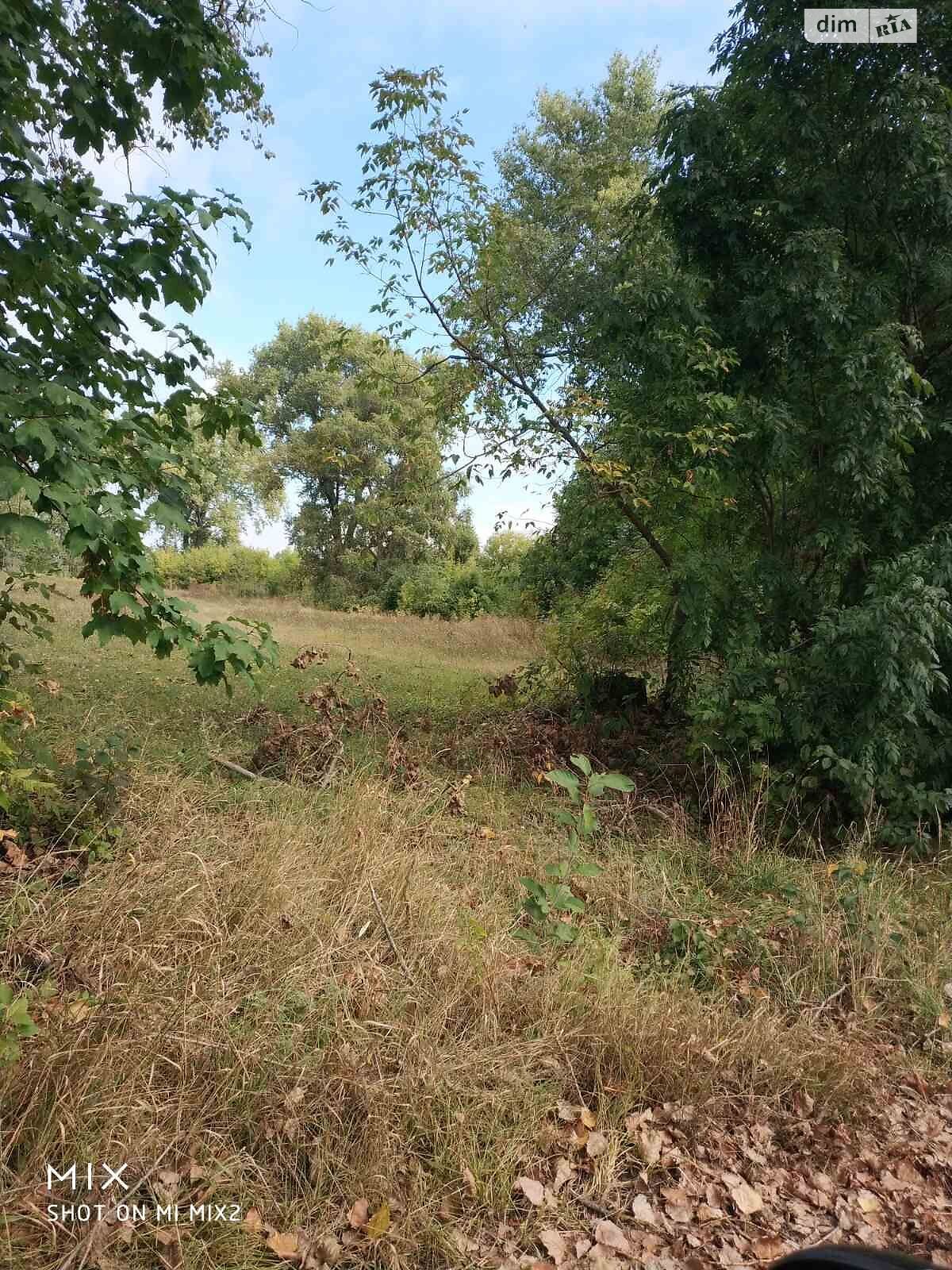 Аренда земли сельскохозяйственного назначения в Вишенке, цена: 7 187 грн за объект фото 1