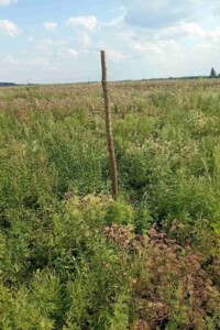 Аренда земли сельскохозяйственного назначения в Водяном, цена: 48 364 грн за объект фото 1 Аренда земли сельскохозяйственного назначения в Водяном, цена: 48 364 грн за объект фото 1