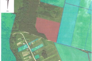 Аренда земли сельскохозяйственного назначения в Вольной, цена: 10 323 грн за объект фото 1