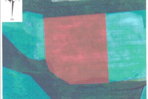 Оренда землі сільськогосподарського призначення в Вільнянці, ціна: 38 296 грн за об’єкт фото 1