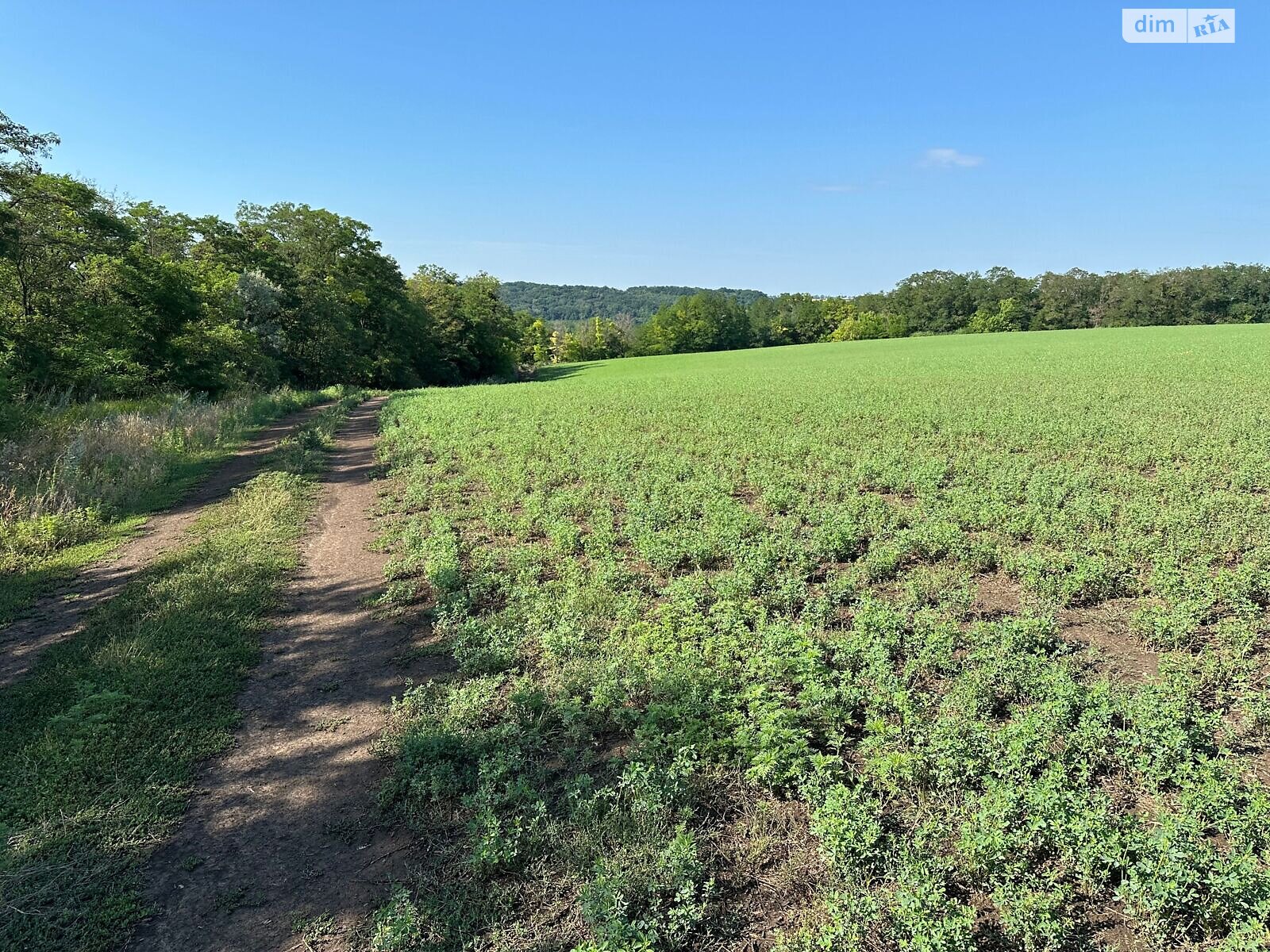Аренда земли сельскохозяйственного назначения в Воскобойниках, цена: 4 112 грн за объект фото 1