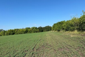 Оренда землі сільськогосподарського призначення в Воскобійниках, ціна: 6 201 грн за об’єкт фото 1