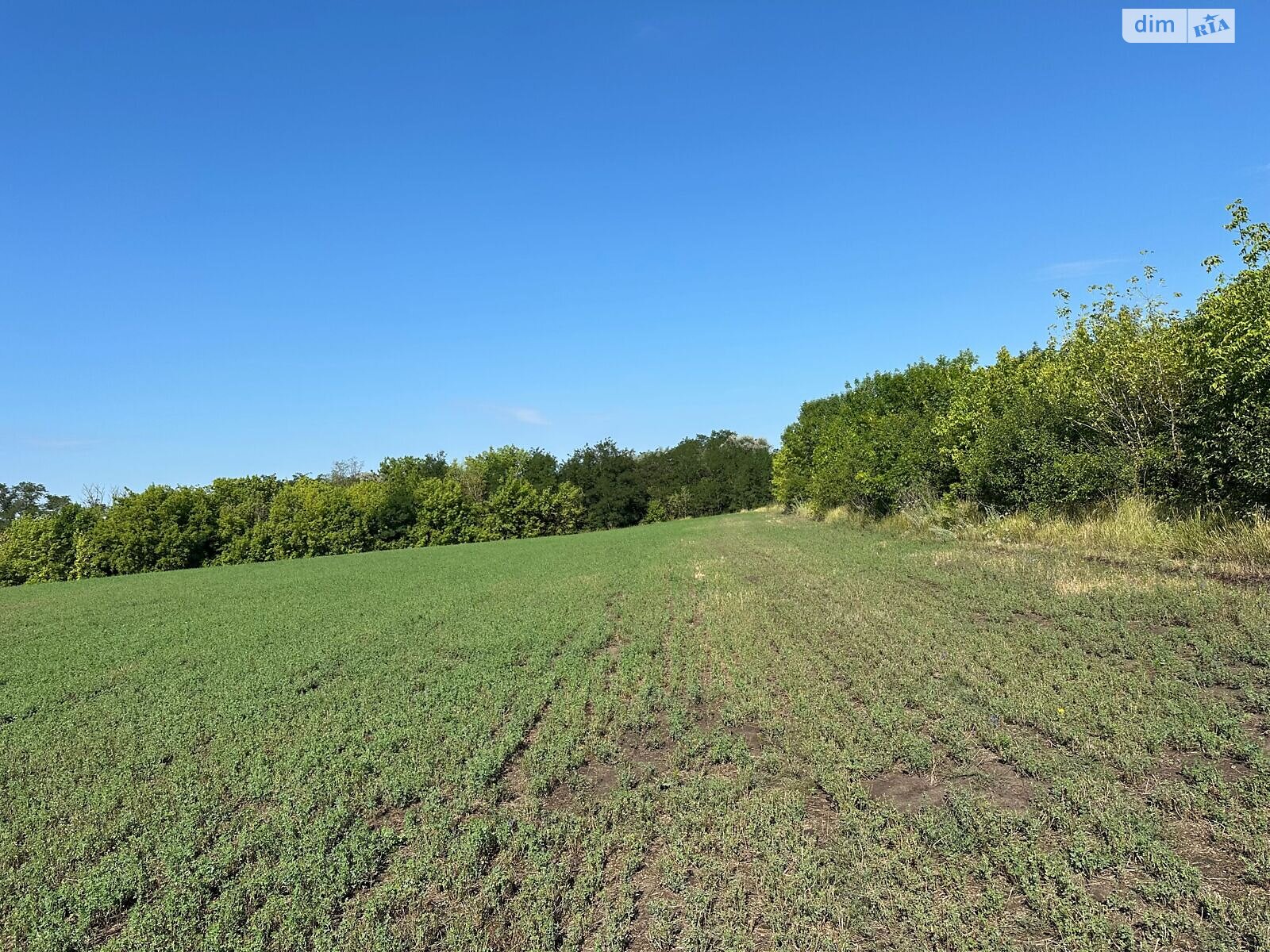 Оренда землі сільськогосподарського призначення в Воскобійниках, ціна: 6 201 грн за об’єкт фото 1