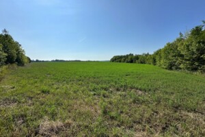 Оренда землі сільськогосподарського призначення в Воскобійниках, ціна: 4 015 грн за об’єкт фото 1