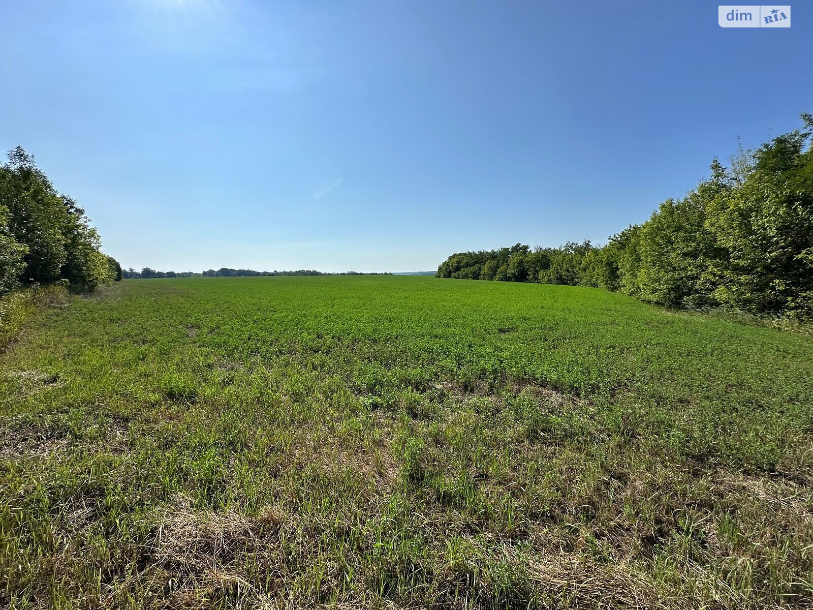 Оренда землі сільськогосподарського призначення в Воскобійниках, ціна: 4 015 грн за об’єкт фото 1