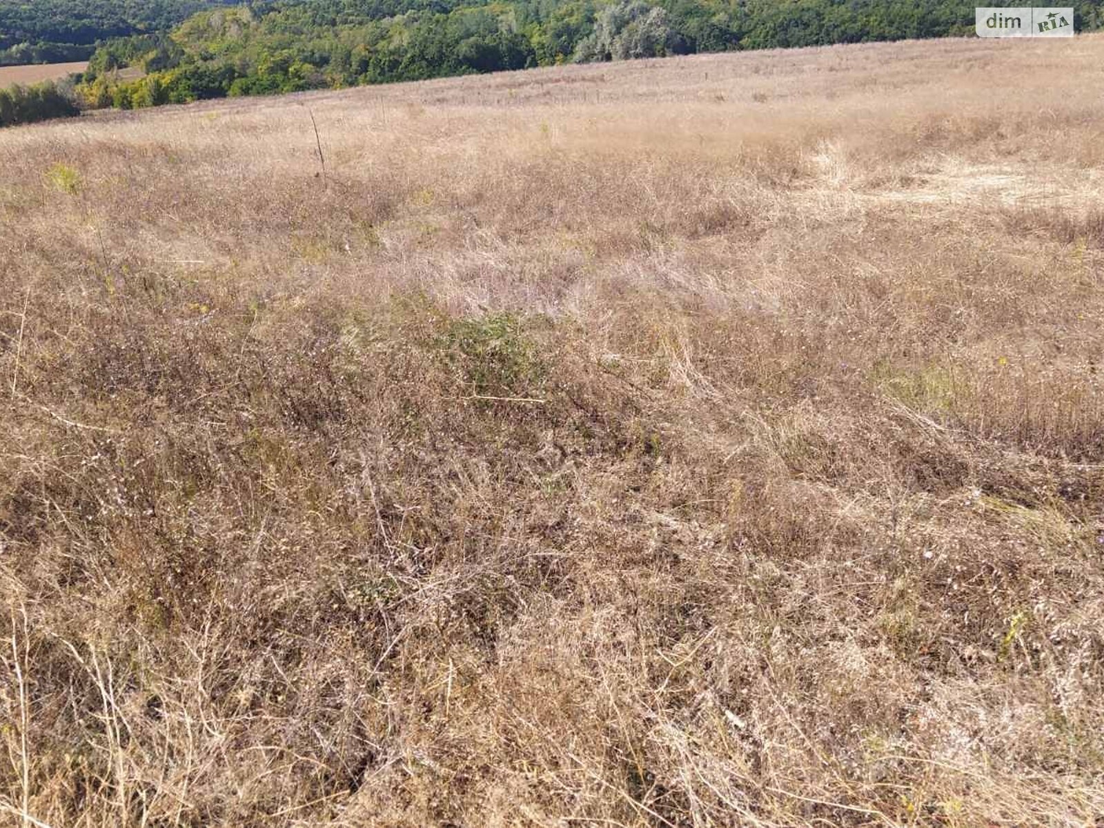 Аренда земли сельскохозяйственного назначения в Высшем Булатце, цена: 7 450 грн за объект фото 1