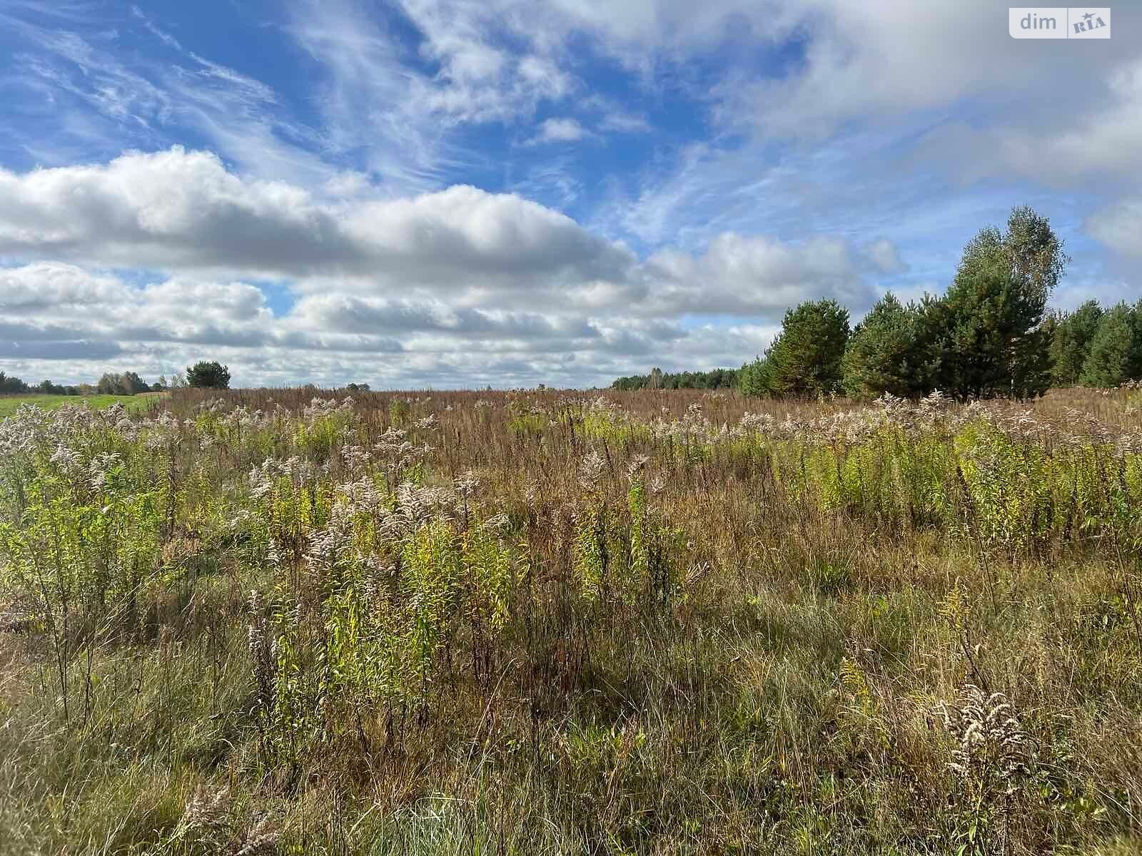 Оренда землі сільськогосподарського призначення в Яполоті, ціна: 26 411 грн за об’єкт фото 1 Оренда землі сільськогосподарського призначення в Яполоті, ціна: 26 411 грн за об’єкт фото 1