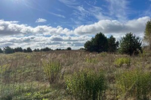 Оренда землі сільськогосподарського призначення в Яполоті, ціна: 26 411 грн за об’єкт фото 2 Оренда землі сільськогосподарського призначення в Яполоті, ціна: 26 411 грн за об’єкт фото 2