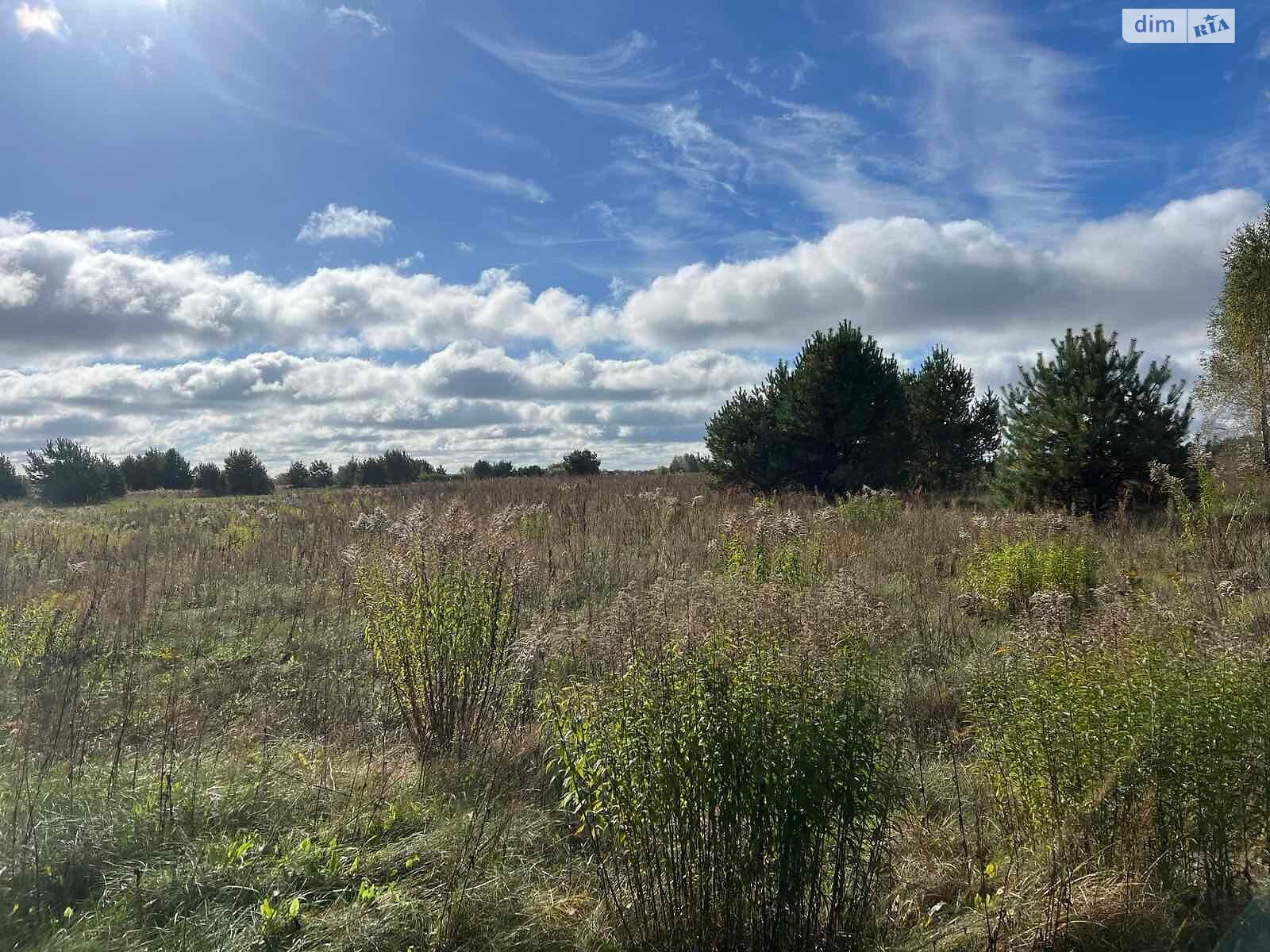 Оренда землі сільськогосподарського призначення в Яполоті, ціна: 26 411 грн за об’єкт фото 1 Оренда землі сільськогосподарського призначення в Яполоті, ціна: 26 411 грн за об’єкт фото 1