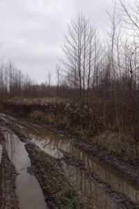 Оренда землі сільськогосподарського призначення в Ясенівці, ціна: 20 527 грн за об’єкт фото 2