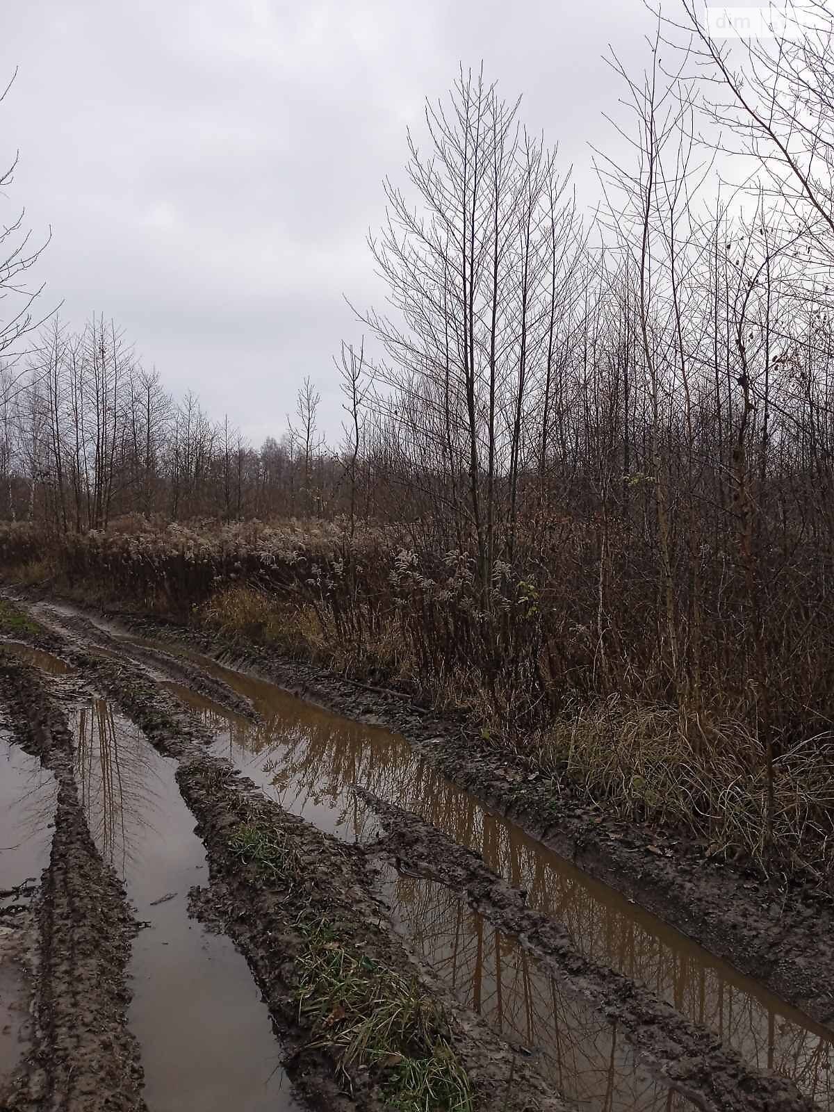 Оренда землі сільськогосподарського призначення в Ясенівці, ціна: 20 527 грн за об’єкт фото 1