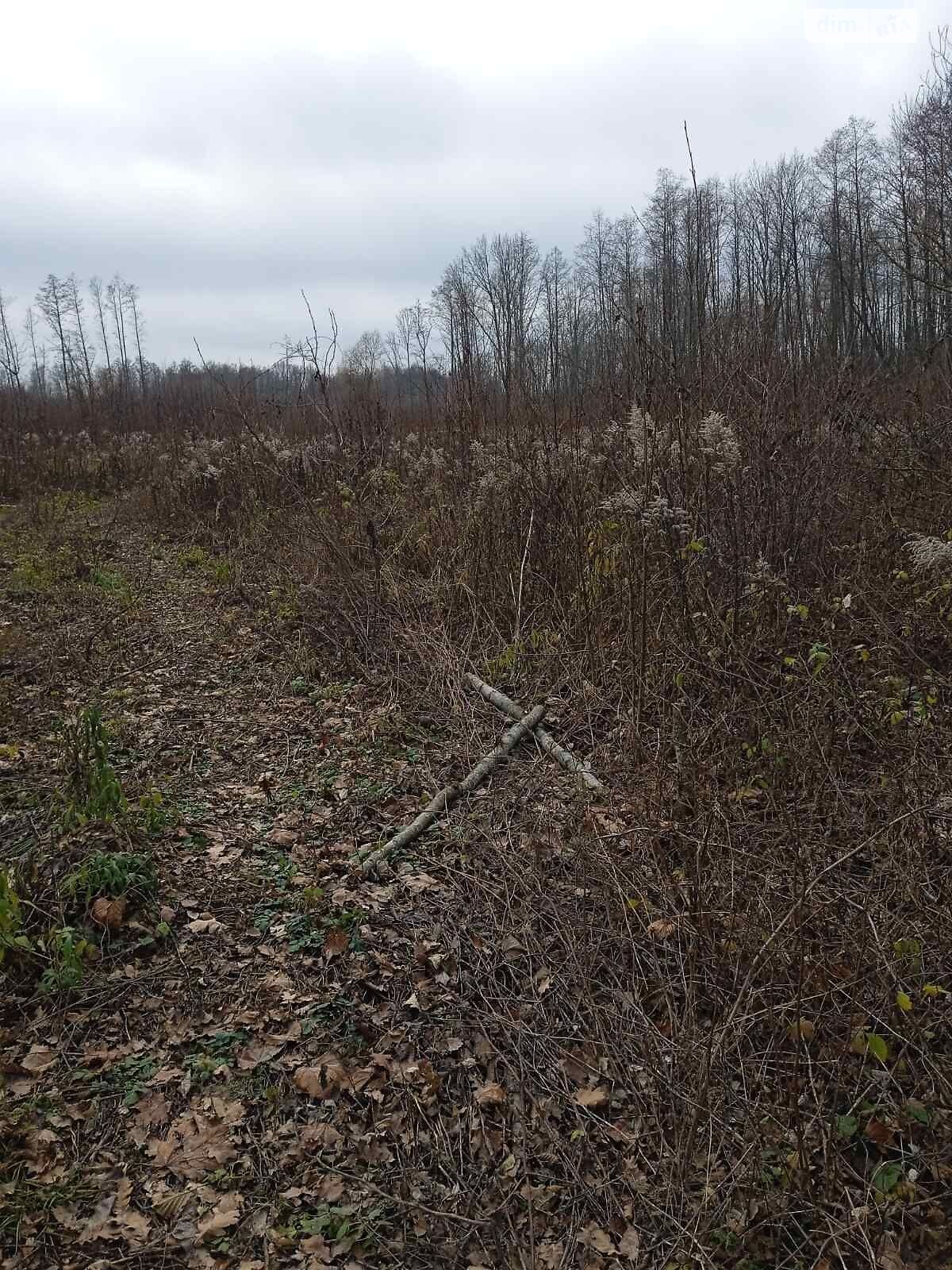 Оренда землі сільськогосподарського призначення в Ясенівці, ціна: 20 527 грн за об’єкт фото 1