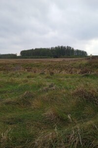 Оренда землі сільськогосподарського призначення в Ясній Поляні, ціна: 7 633 грн за об’єкт фото 1 Оренда землі сільськогосподарського призначення в Ясній Поляні, ціна: 7 633 грн за об’єкт фото 1