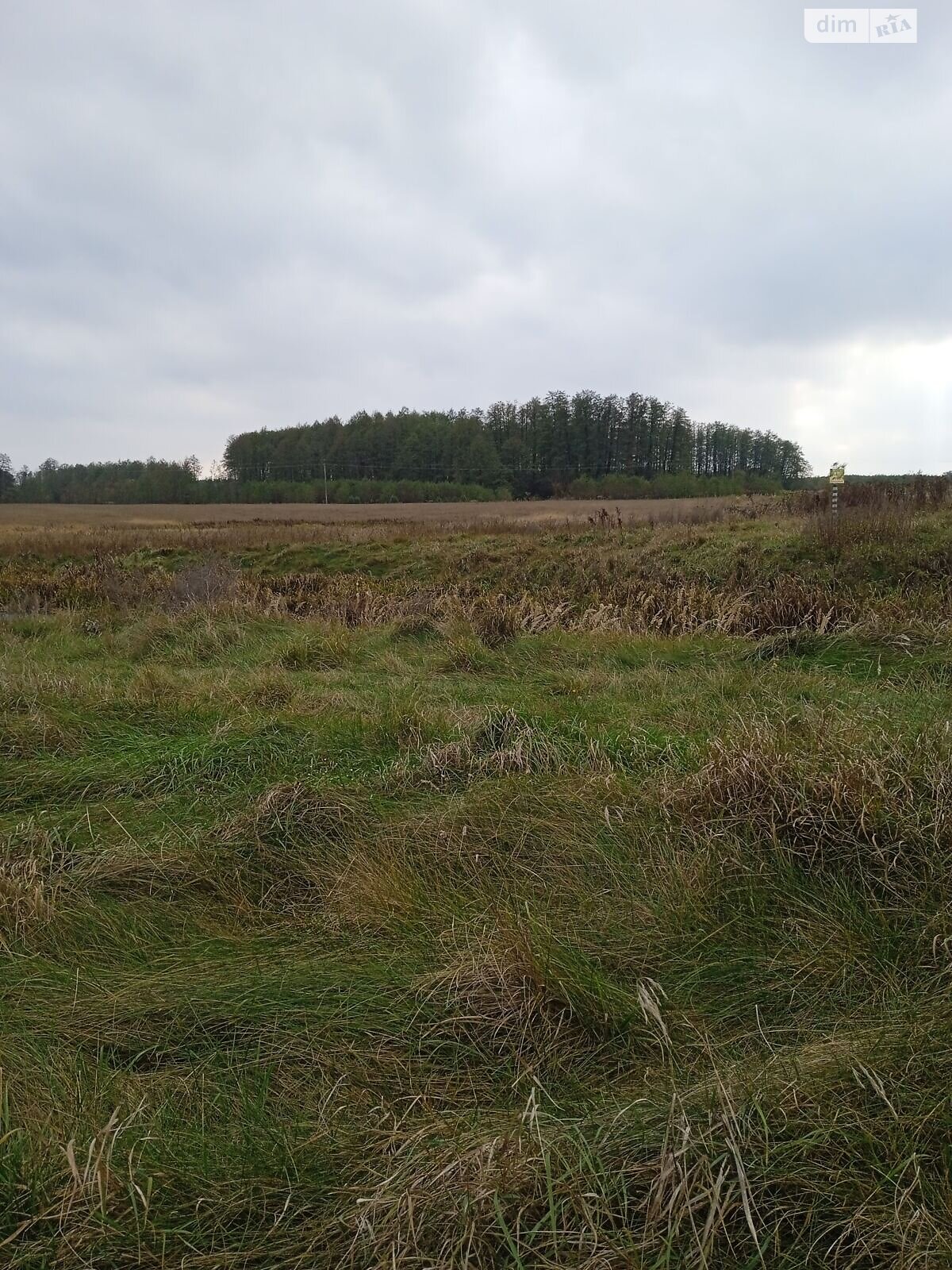 Оренда землі сільськогосподарського призначення в Ясній Поляні, ціна: 7 633 грн за об’єкт фото 1 Оренда землі сільськогосподарського призначення в Ясній Поляні, ціна: 7 633 грн за об’єкт фото 1