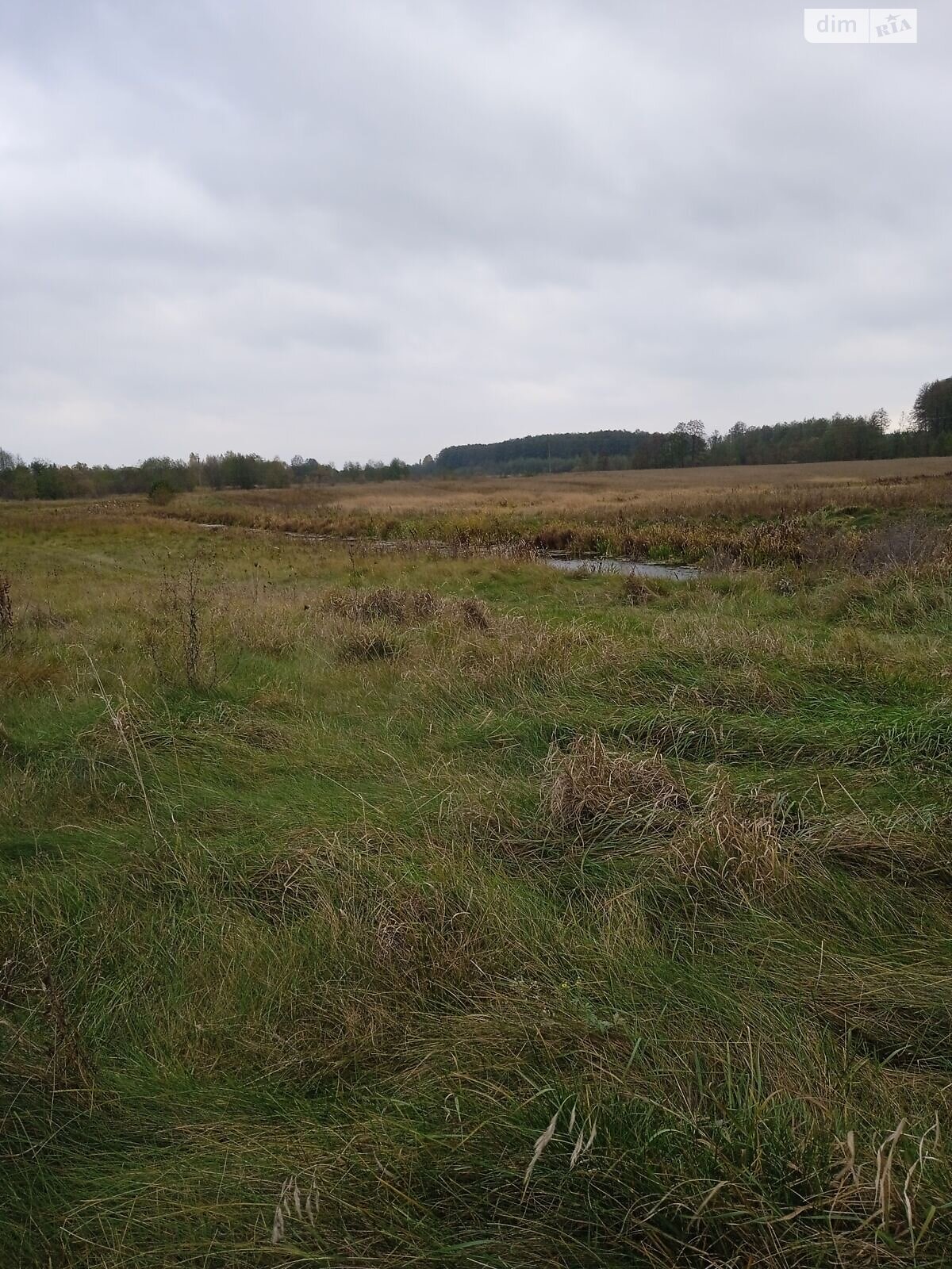 Оренда землі сільськогосподарського призначення в Ясній Поляні, ціна: 7 633 грн за об’єкт фото 1 Оренда землі сільськогосподарського призначення в Ясній Поляні, ціна: 7 633 грн за об’єкт фото 1