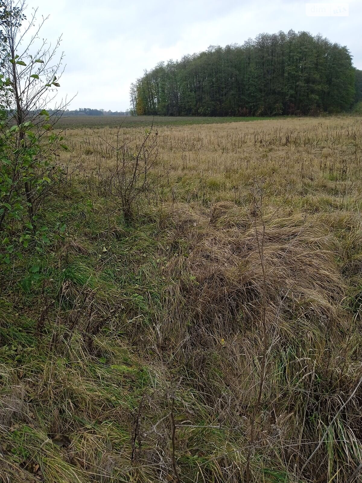 Оренда землі сільськогосподарського призначення в Ясній Поляні, ціна: 18 415 грн за об’єкт фото 1 Оренда землі сільськогосподарського призначення в Ясній Поляні, ціна: 18 415 грн за об’єкт фото 1