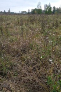 Оренда землі сільськогосподарського призначення в Ясній Поляні, ціна: 18 415 грн за об’єкт фото 2 Оренда землі сільськогосподарського призначення в Ясній Поляні, ціна: 18 415 грн за об’єкт фото 2