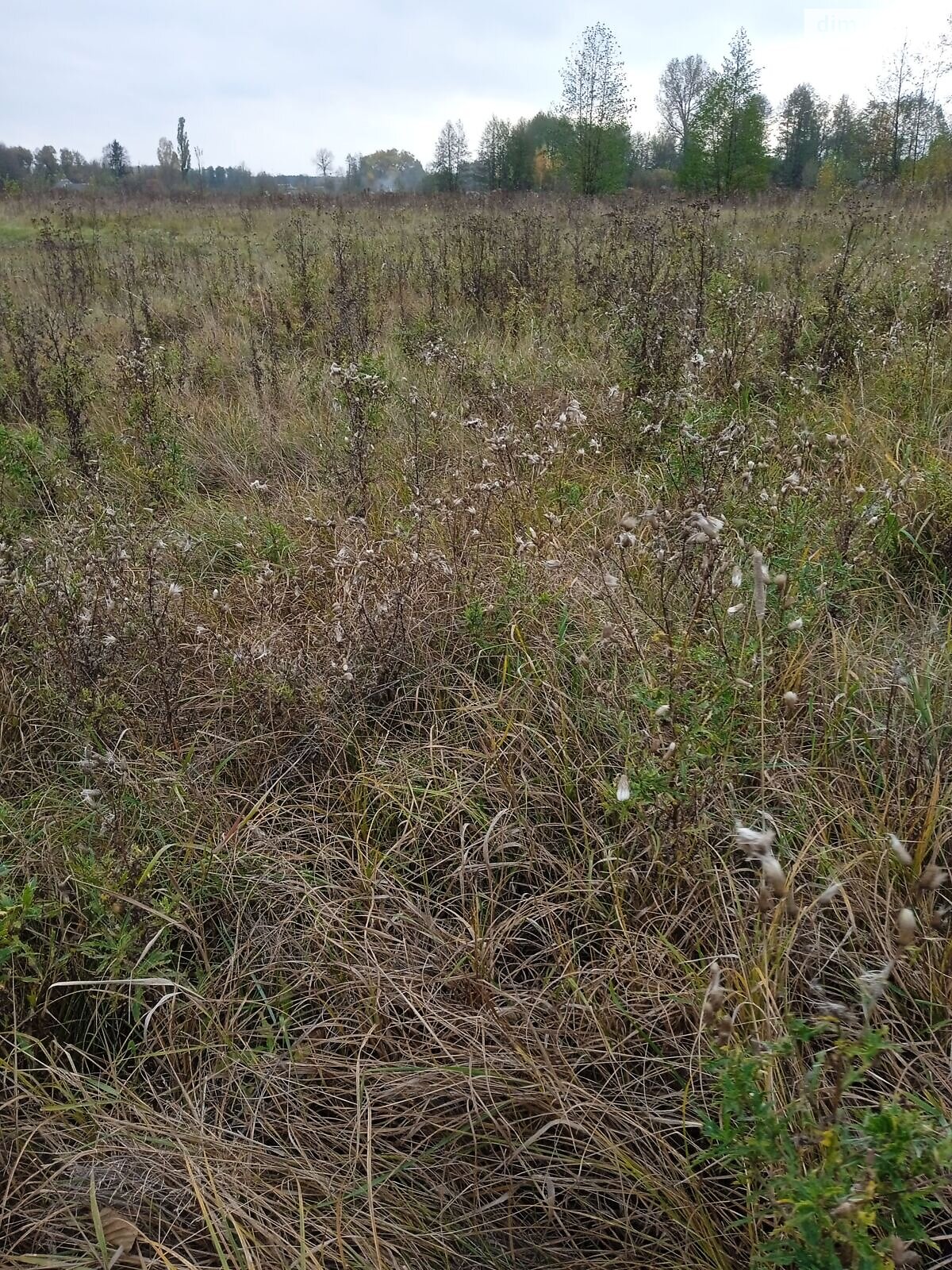 Оренда землі сільськогосподарського призначення в Ясній Поляні, ціна: 18 415 грн за об’єкт фото 1 Оренда землі сільськогосподарського призначення в Ясній Поляні, ціна: 18 415 грн за об’єкт фото 1