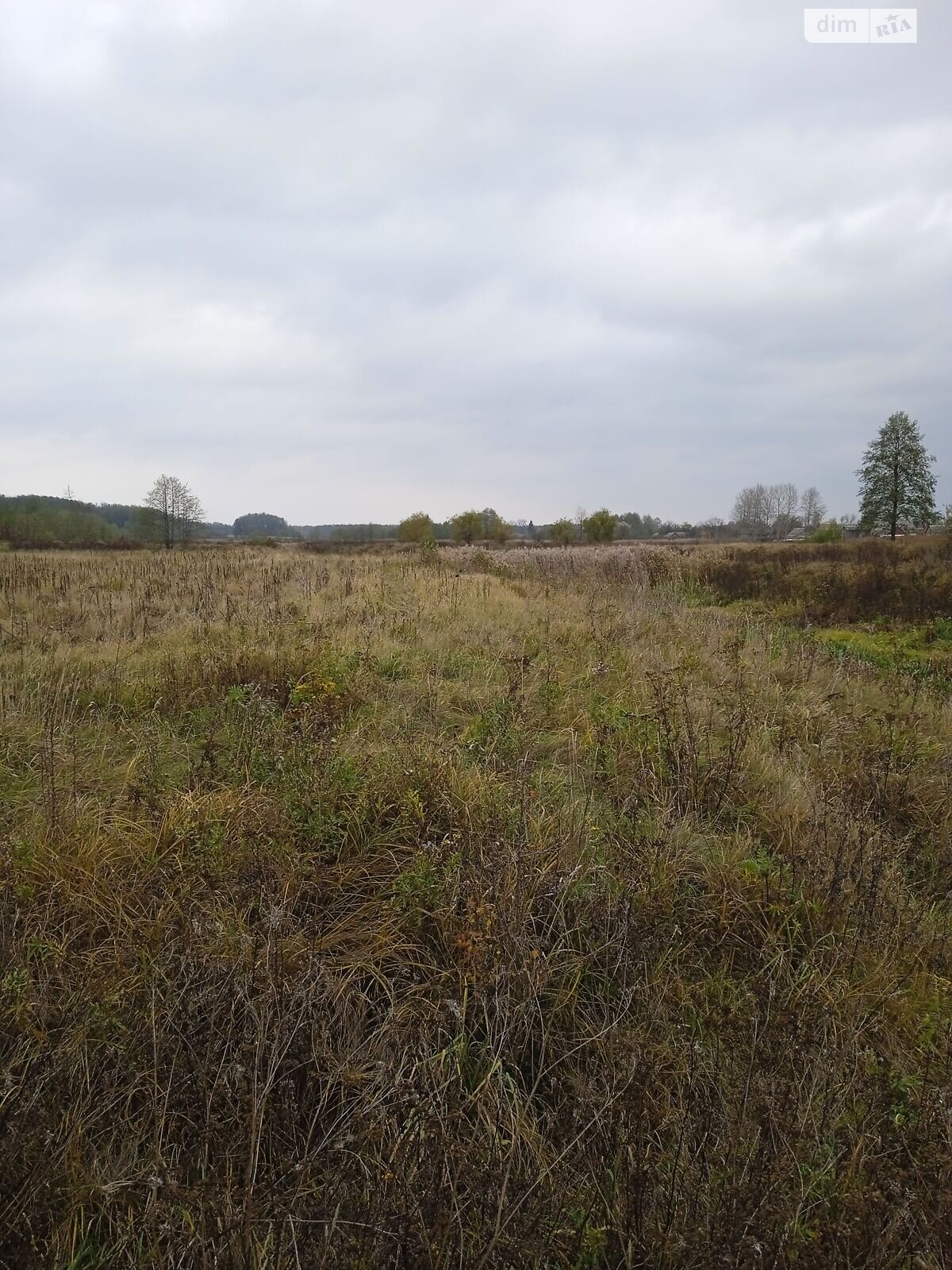 Оренда землі сільськогосподарського призначення в Ясній Поляні, ціна: 18 415 грн за об’єкт фото 1 Оренда землі сільськогосподарського призначення в Ясній Поляні, ціна: 18 415 грн за об’єкт фото 1