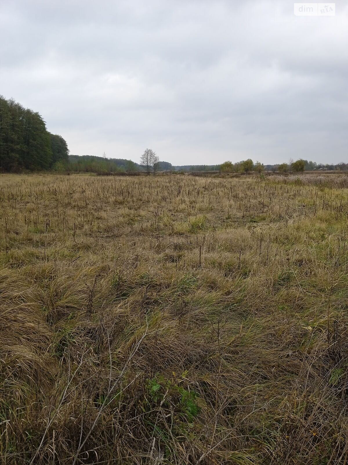 Оренда землі сільськогосподарського призначення в Ясній Поляні, ціна: 18 415 грн за об’єкт фото 1 Оренда землі сільськогосподарського призначення в Ясній Поляні, ціна: 18 415 грн за об’єкт фото 1