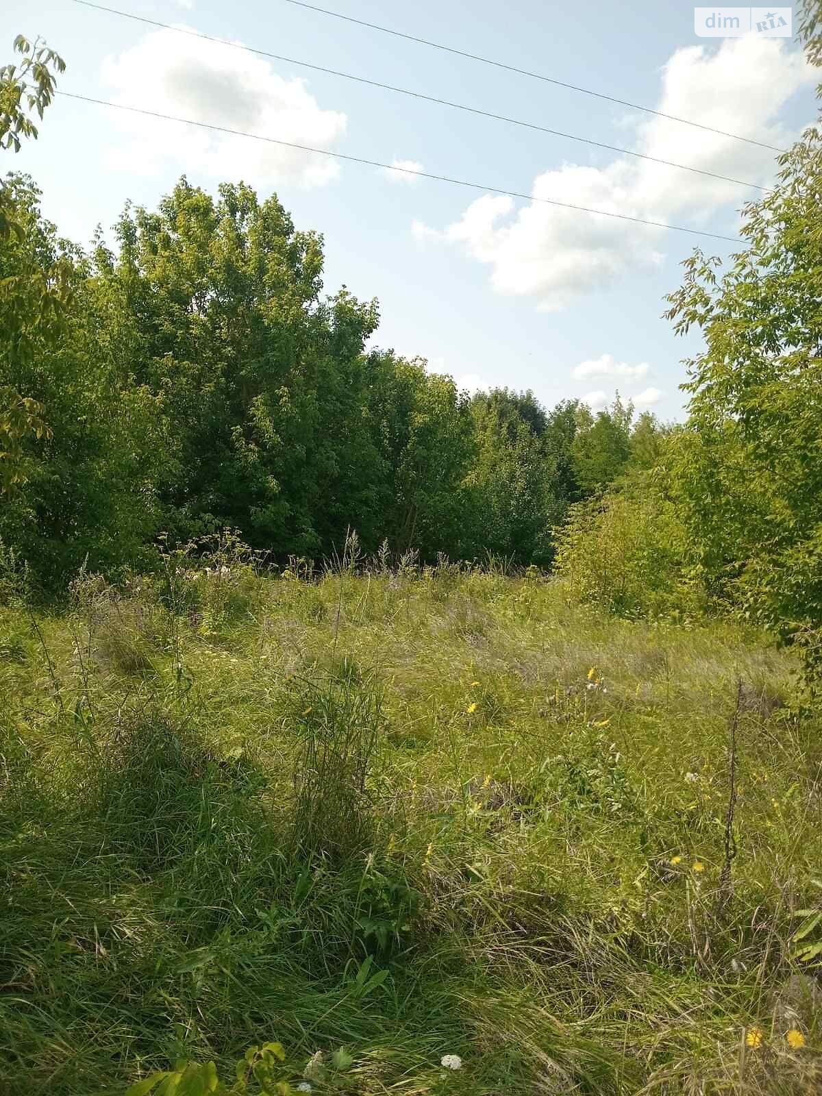 Оренда землі сільськогосподарського призначення в Юрченки, ціна: 31 957 грн за об’єкт фото 1