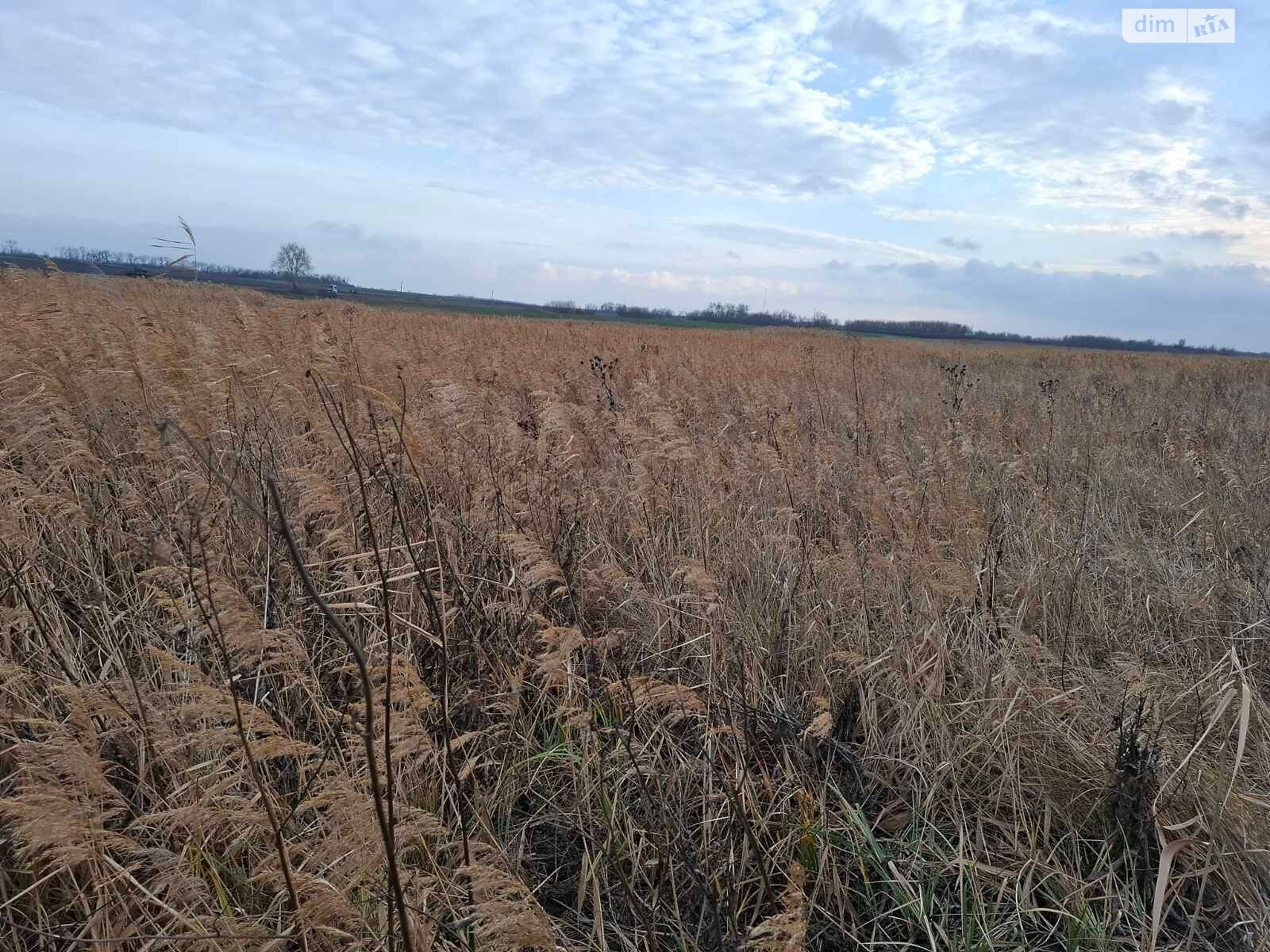 Аренда земли сельскохозяйственного назначения в Юрьевке, цена: 20 393 грн за объект фото 1