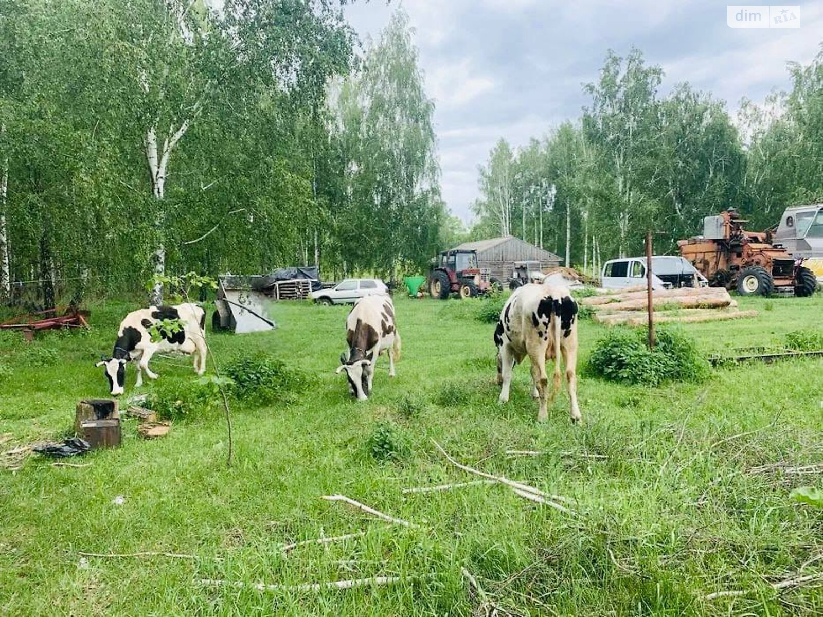 Аренда земли сельскохозяйственного назначения в Забелочьем, цена: 1 048 250 грн за объект фото 1 Аренда земли сельскохозяйственного назначения в Забелочьем, цена: 1 048 250 грн за объект фото 1