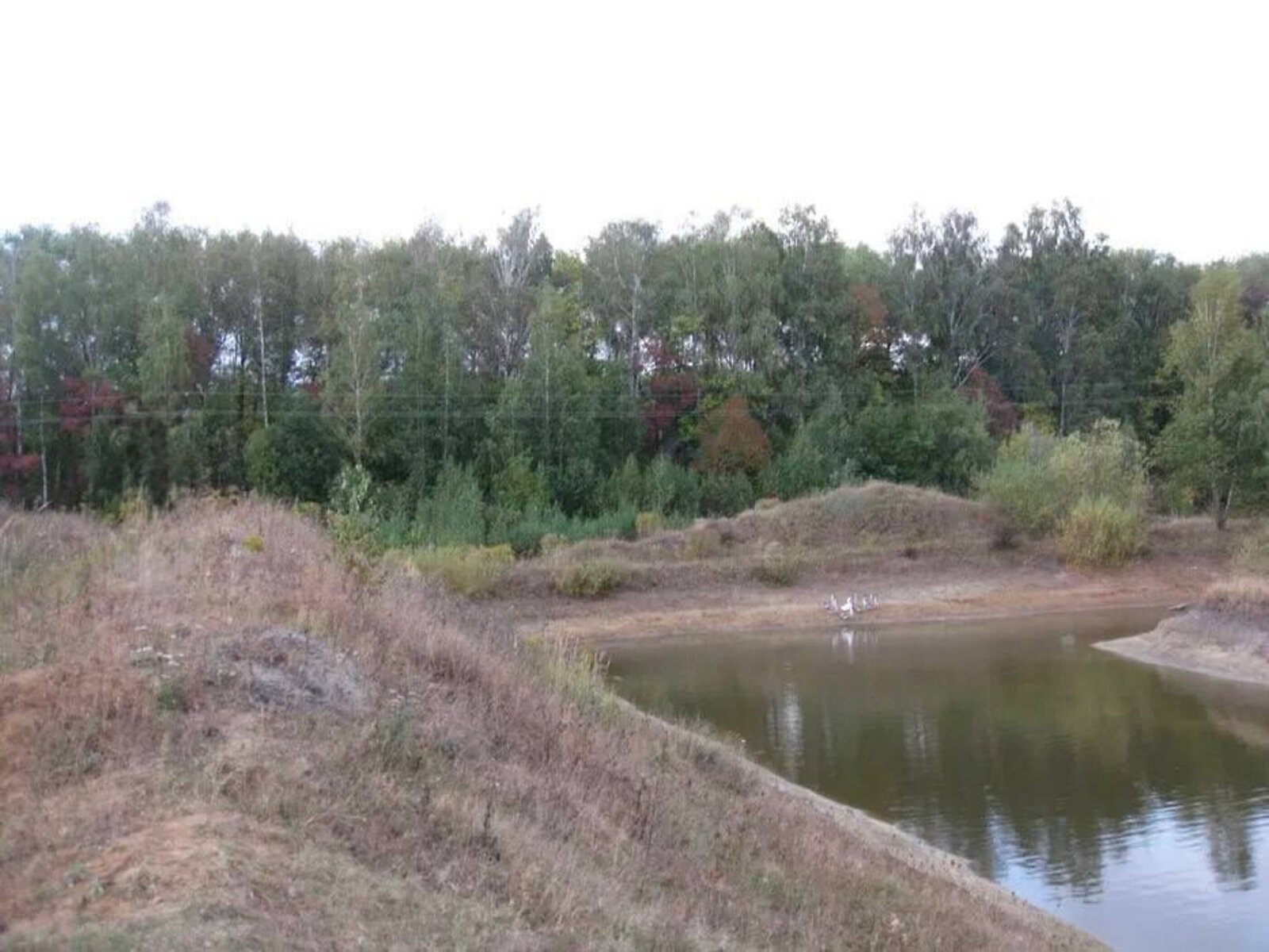 Аренда земли сельскохозяйственного назначения в Забелочьем, цена: 1 048 250 грн за объект фото 1 Аренда земли сельскохозяйственного назначения в Забелочьем, цена: 1 048 250 грн за объект фото 1