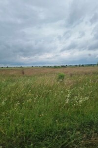 Оренда землі сільськогосподарського призначення в Заболотті, ціна: 4 053 грн за об’єкт фото 1