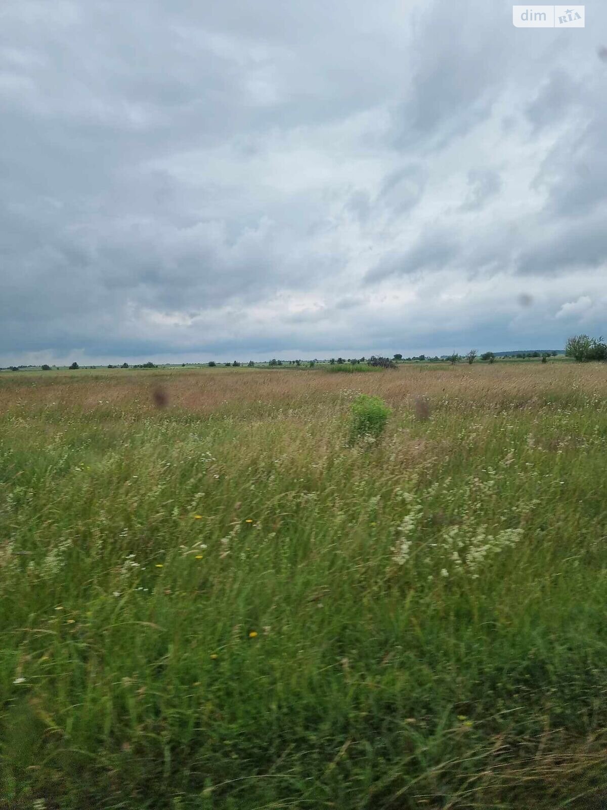 Оренда землі сільськогосподарського призначення в Заболотті, ціна: 4 053 грн за об’єкт фото 1