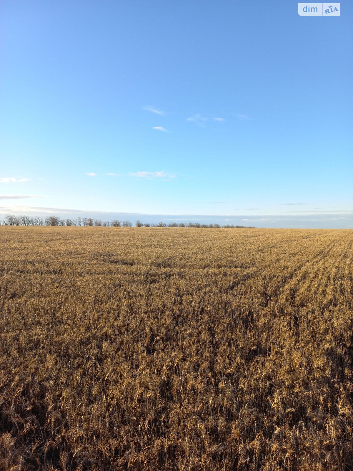 Аренда земли сельскохозяйственного назначения в Загоряновке, цена: 65 406 грн за объект фото 1 Аренда земли сельскохозяйственного назначения в Загоряновке, цена: 65 406 грн за объект фото 1
