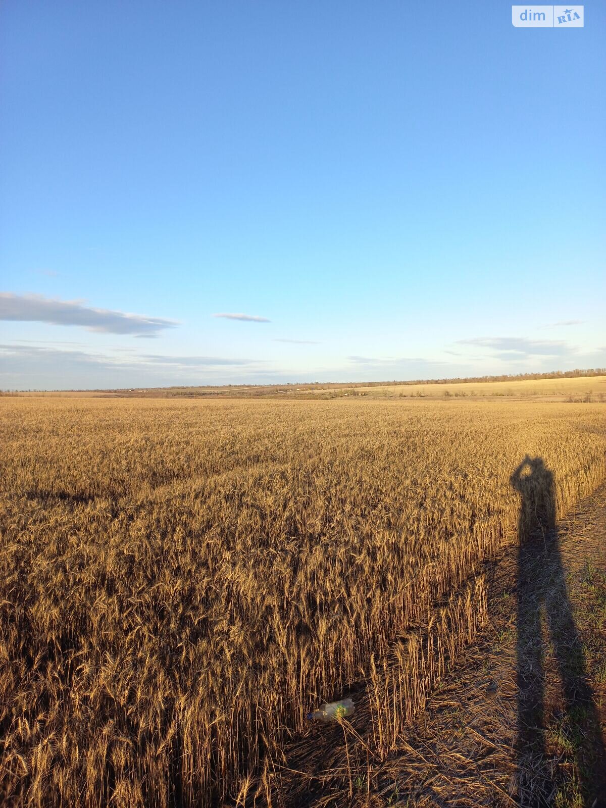 Аренда земли сельскохозяйственного назначения в Загоряновке, цена: 59 685 грн за объект фото 1 Аренда земли сельскохозяйственного назначения в Загоряновке, цена: 59 685 грн за объект фото 1