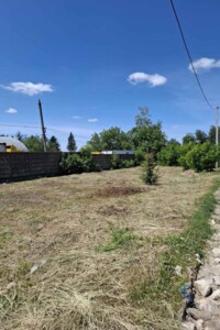 Оренда землі сільськогосподарського призначення в Зарванцях, ціна: 20 000 грн за об’єкт фото 2
