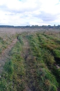 Оренда землі сільськогосподарського призначення в Заставному, ціна: 30 798 грн за об’єкт фото 1 Оренда землі сільськогосподарського призначення в Заставному, ціна: 30 798 грн за об’єкт фото 1